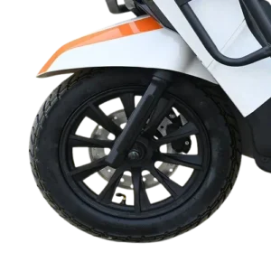 Crown Electric Bike Raftaar F2